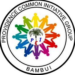 Providence CIG Logo
