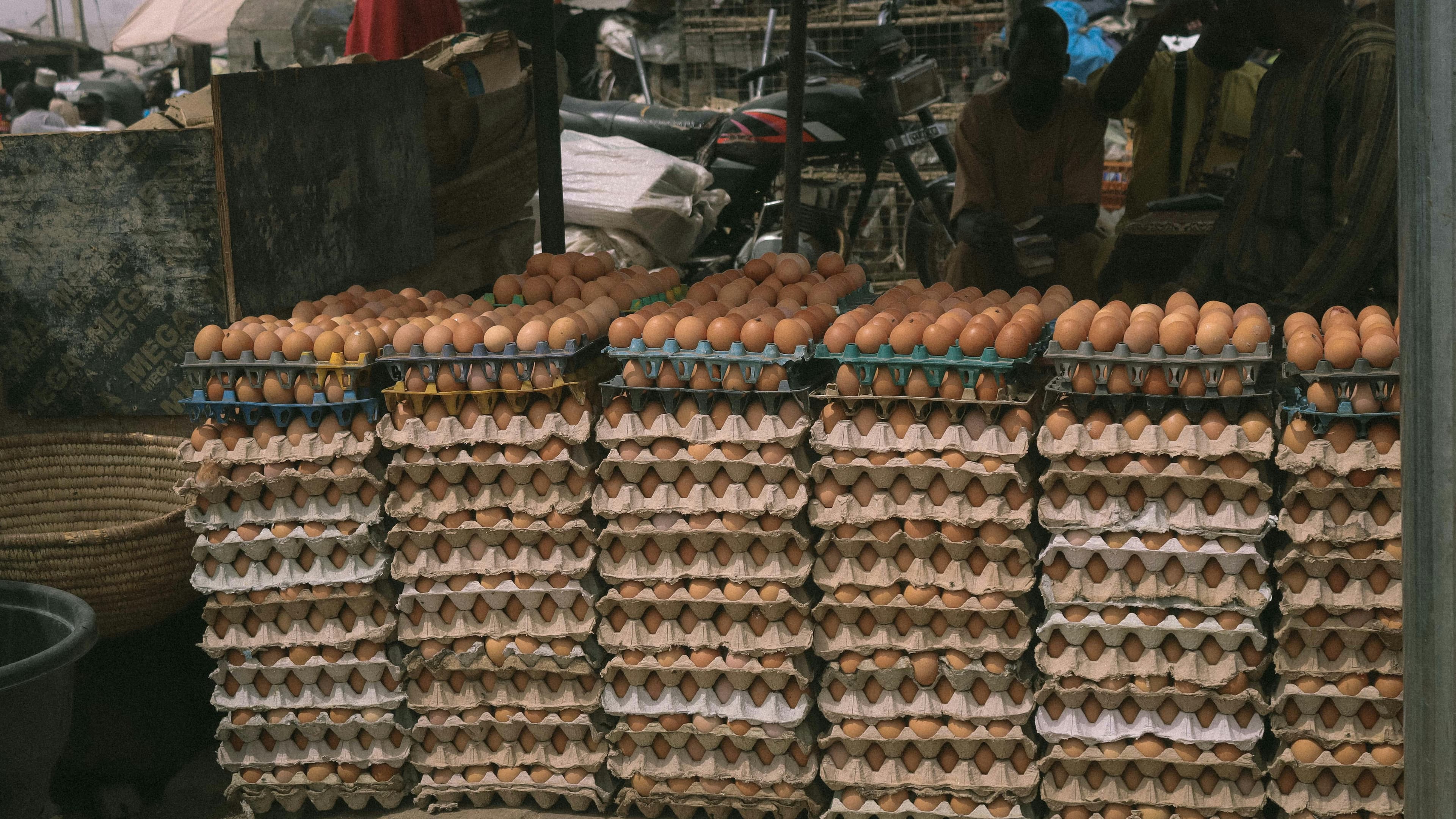 Eggs tray